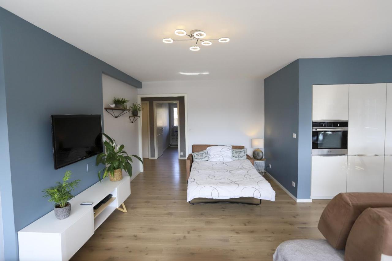 Azur Bleu 4 Etoiles Annecy Centre-Ville Et Lac Lumineux Экстерьер фото
